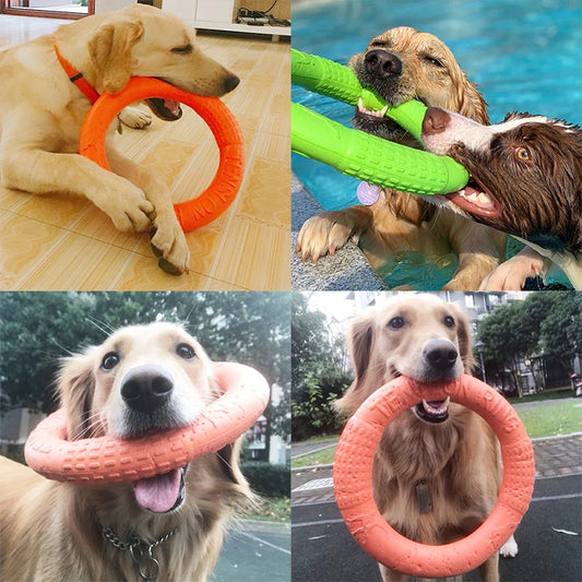 Interactive Dog Toy Training Ring