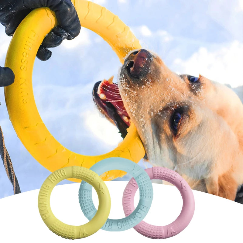 Interactive Dog Toy Training Ring